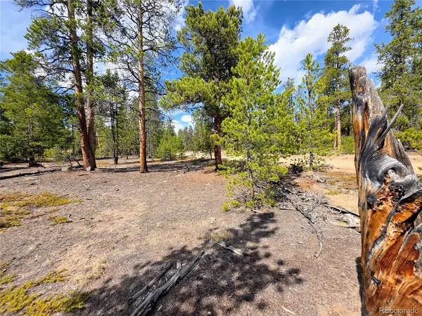 322 Fir, Twin Lakes, CO 81251
