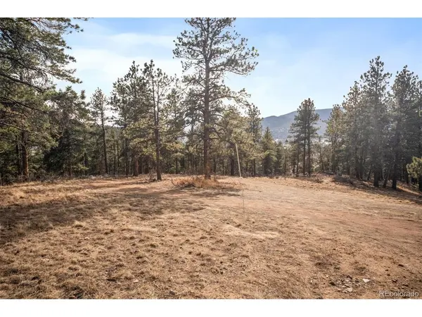 260 Bailey, Bailey, CO 80421