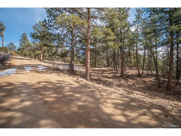 260 Bailey, Bailey, CO 80421