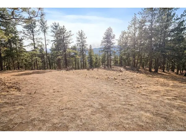260 Bailey, Bailey, CO 80421