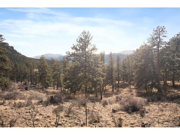 260 Bailey, Bailey, CO 80421