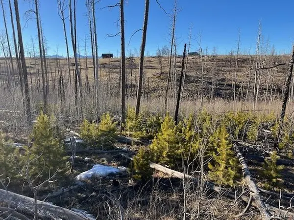 1502 Vonheyl, Fort Garland, CO 81133