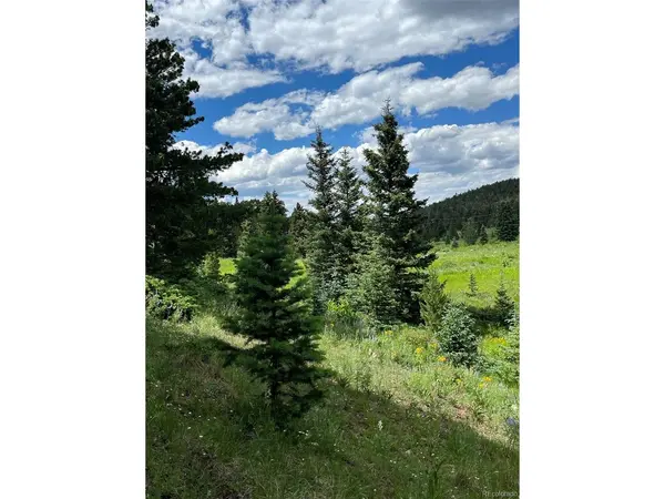 3091 Sterenson, Fort Garland, CO 81133
