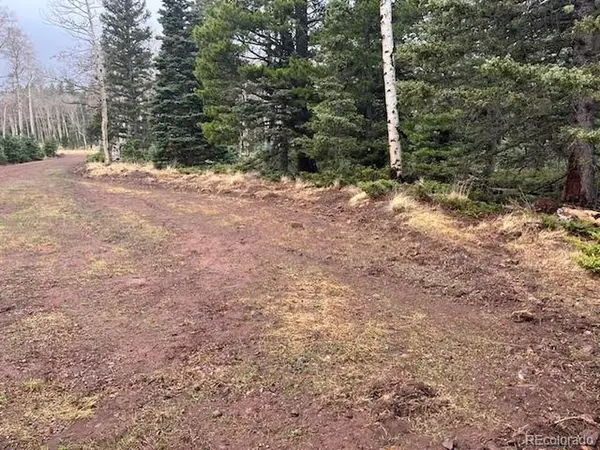 3091 Sterenson, Fort Garland, CO 81133