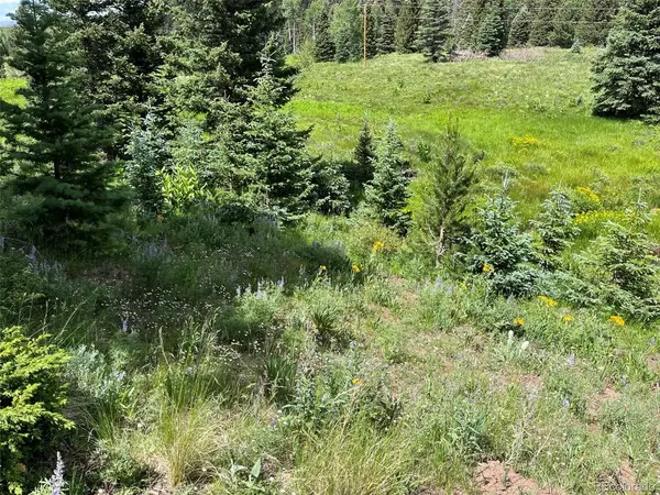 3091 Sterenson, Fort Garland, CO 81133