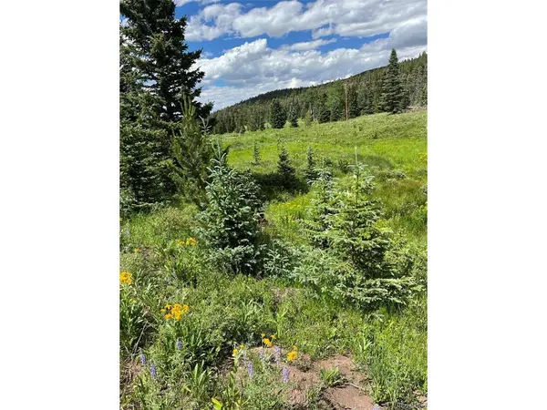 3091 Sterenson, Fort Garland, CO 81133