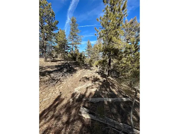 4376 Campfire, Hartsel, CO 80449