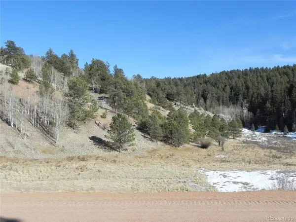 277 Gold King, Cripple Creek, CO 80813