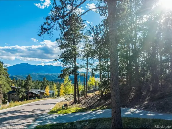 270 Thunder Ridge, Woodland Park, CO 80863