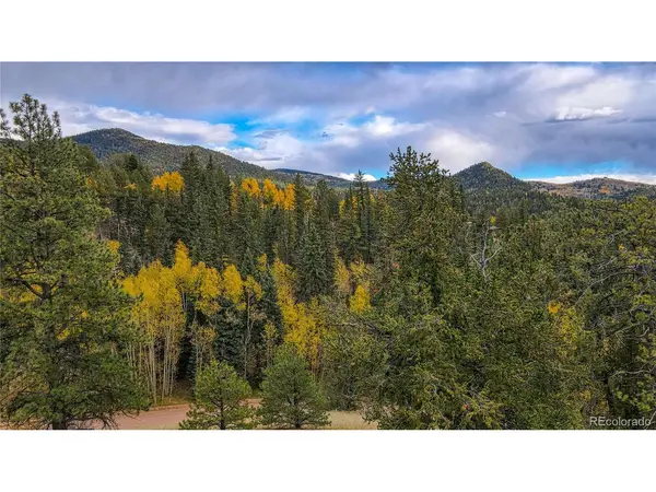 65 Portland, Cripple Creek, CO 80813
