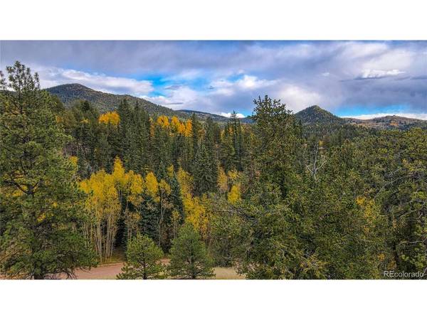 65 Portland, Cripple Creek, CO 80813