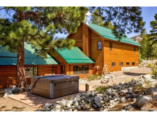 236 Mill Run, Mosca, CO 81146
