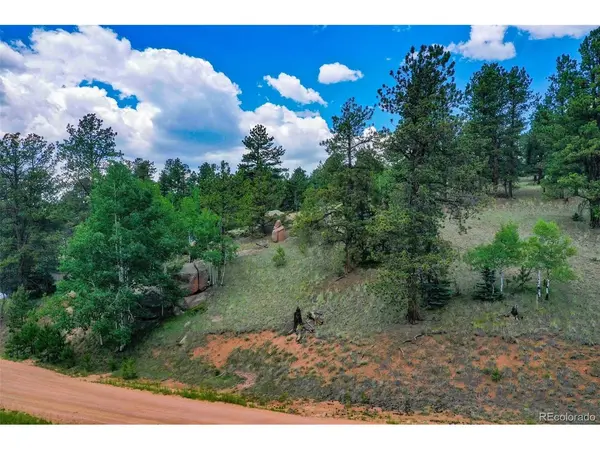 549 Spring Valley, Florissant, CO 80816