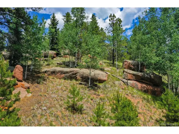 549 Spring Valley, Florissant, CO 80816