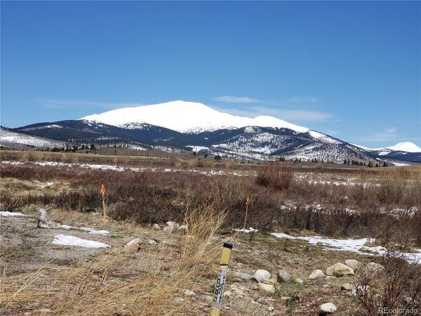 Meadow, Fairplay, CO 80440