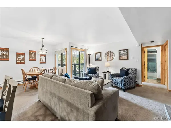 423 Wild Irishman #Blue Grous-13202, Dillon, CO 80435