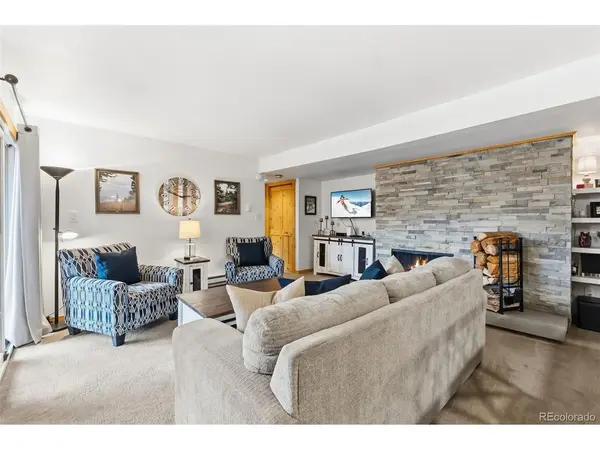 423 Wild Irishman #Blue Grous-13202, Dillon, CO 80435