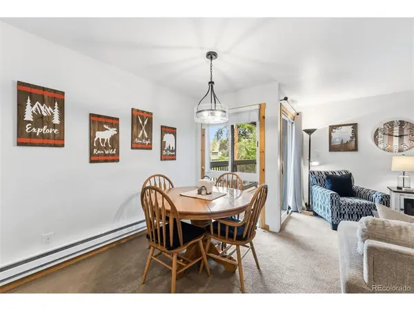 423 Wild Irishman #Blue Grous-13202, Dillon, CO 80435