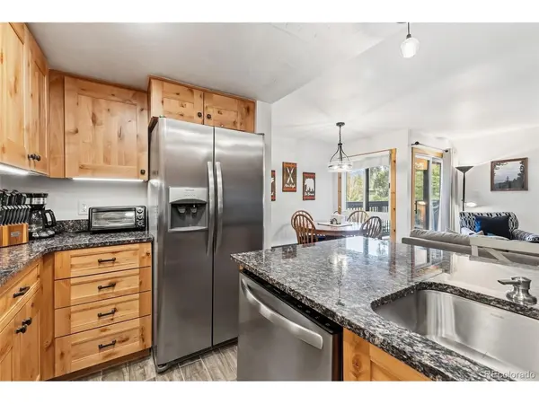 423 Wild Irishman #Blue Grous-13202, Dillon, CO 80435