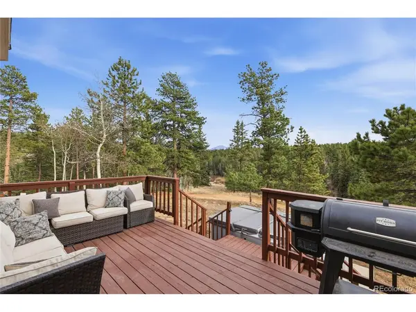 57 Trout Creek, Divide, CO 80814