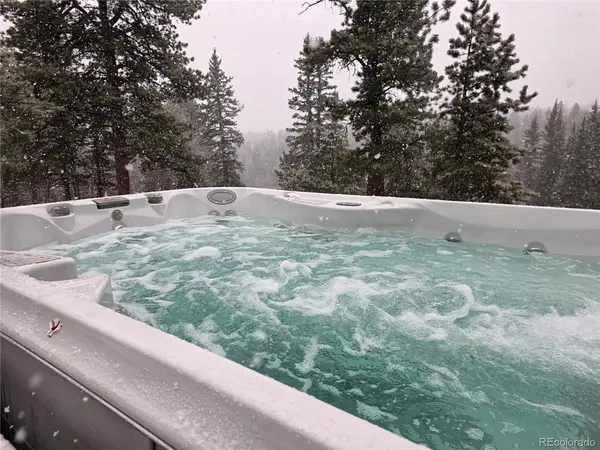 57 Trout Creek, Divide, CO 80814