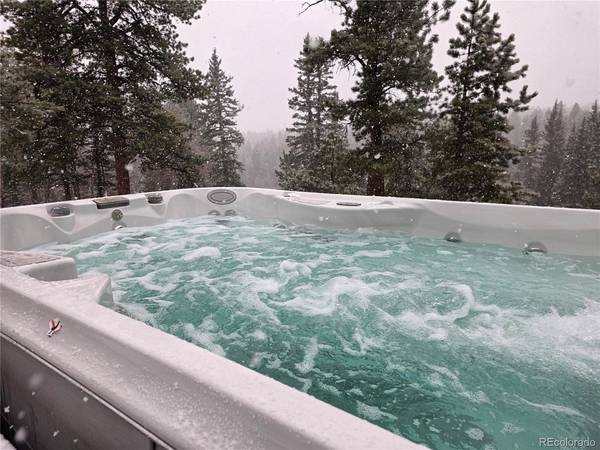 57 Trout Creek, Divide, CO 80814