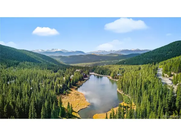 401 Lake, Idaho Springs, CO 80452