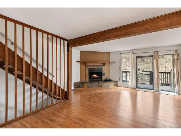 560 Manor #C, Woodland Park, CO 80863