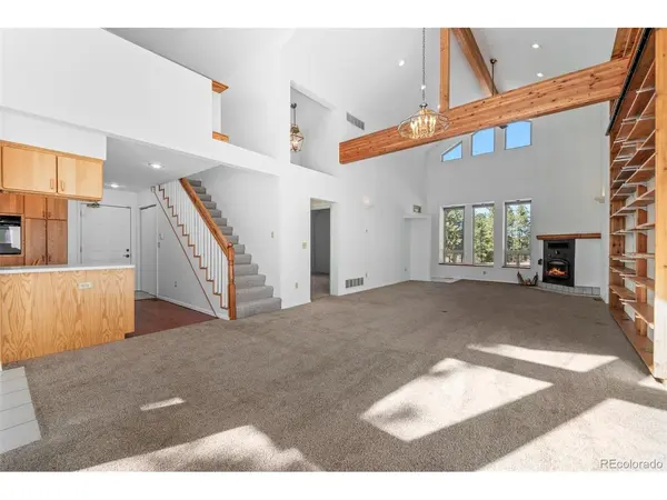 20202 Spring Creek, Pine, CO 80470