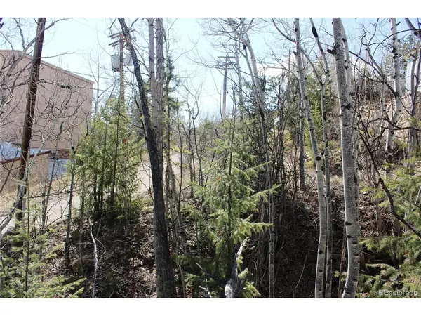 0 Spruce, Central City, CO 80427