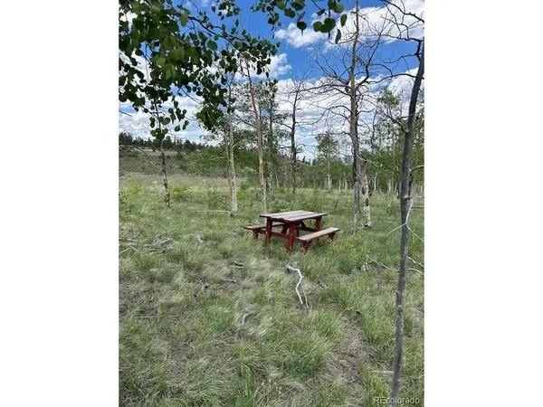 807 Bolster, Hartsel, CO 80449