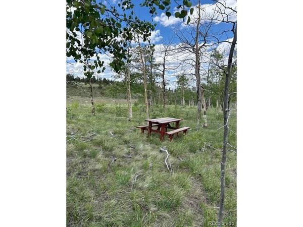 807 Bolster, Hartsel, CO 80449