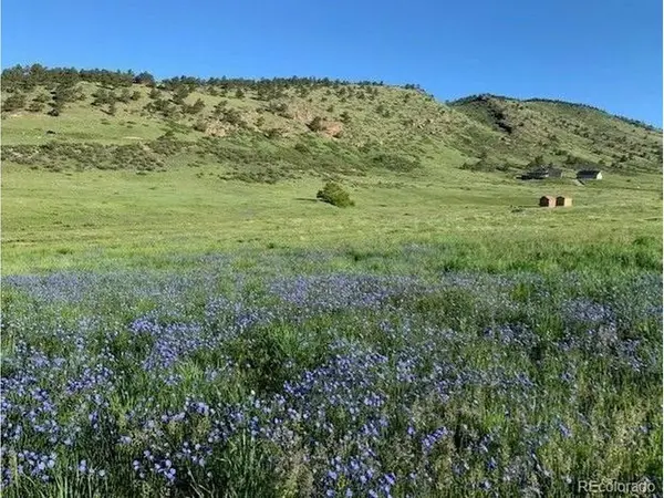 223 Stone Canyon, Lyons, CO 80540