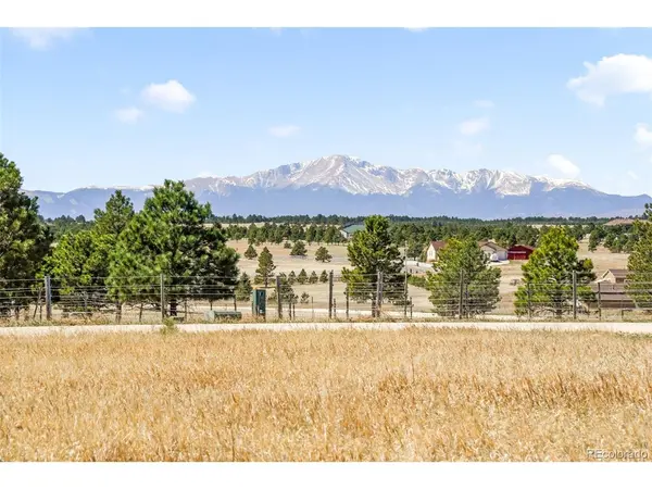 18150 Pinon Park, Peyton, CO 80831