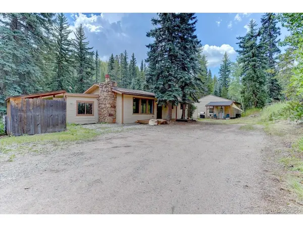 8226 S Brook Forest, Evergreen, CO 80439