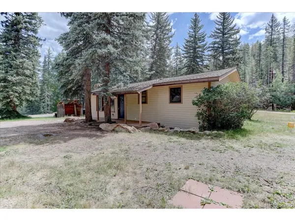 8226 S Brook Forest, Evergreen, CO 80439