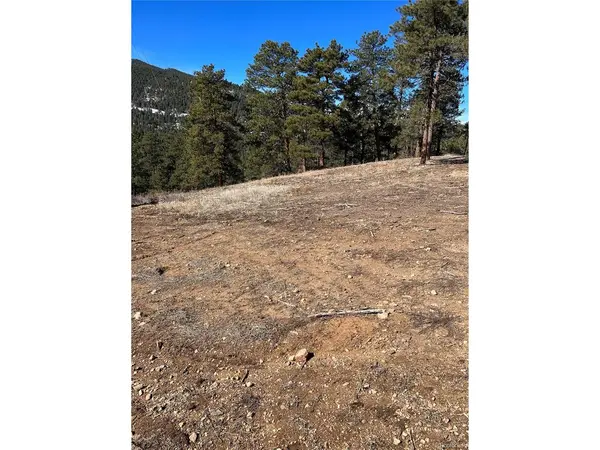1 Iowa Gulch, Morrison, CO 80465