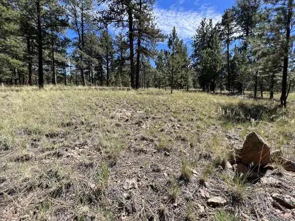 82 Kiowa, Westcliffe, CO 81252