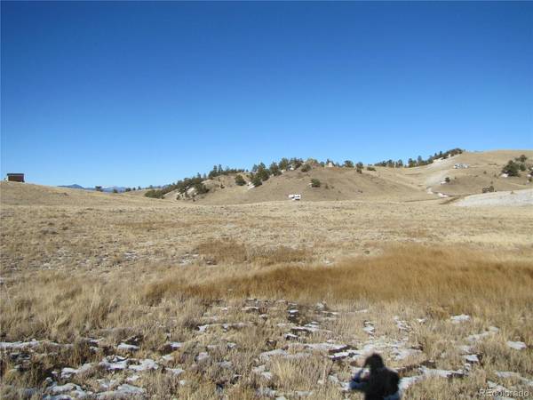 487 Falcon, Hartsel, CO 80449
