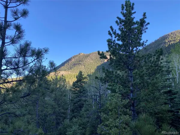 285 Forest, Manitou Springs, CO 80829