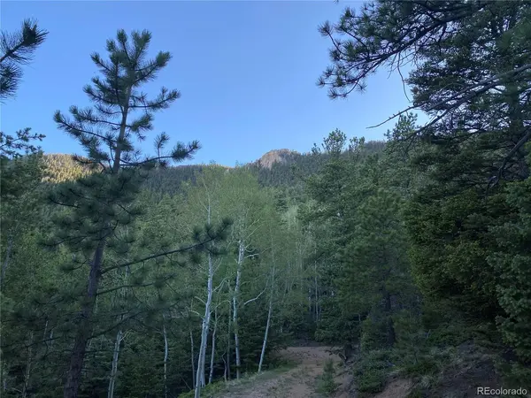 285 Forest, Manitou Springs, CO 80829