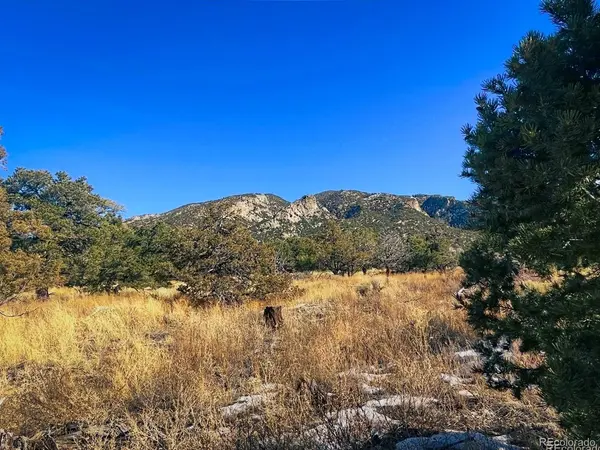 121 Cedar Ridge, Mosca, CO 81146