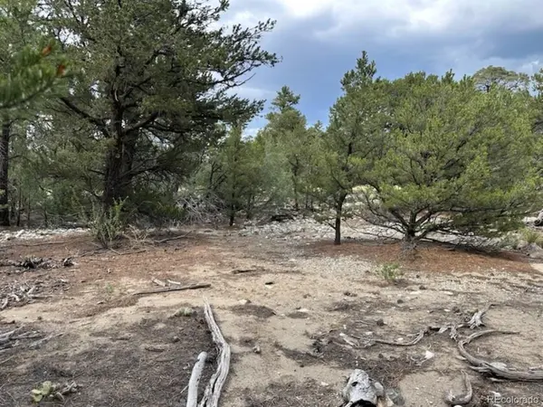 22 Cub Creek, Mosca, CO 81146