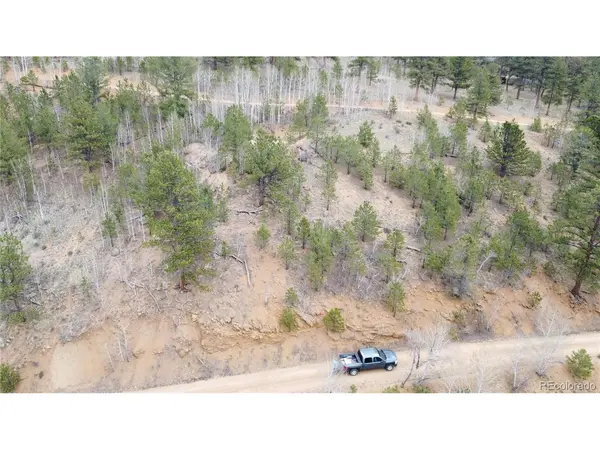 367 Neish, Bailey, CO 80421
