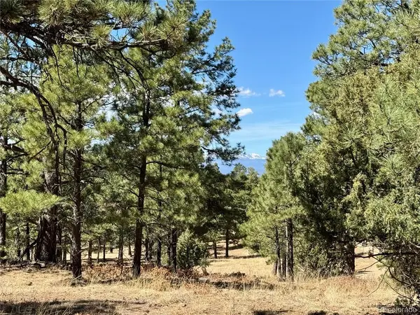 34999 Timber Park, Trinidad, CO 81082