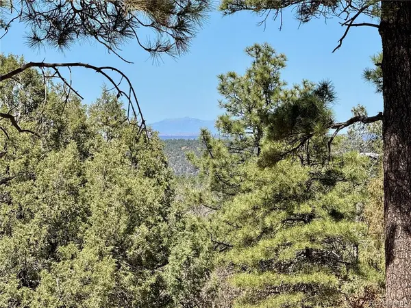 34999 Timber Park, Trinidad, CO 81082