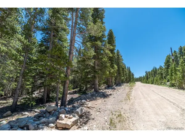 176 Gold Trail, Fairplay, CO 80440