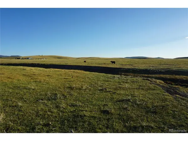 770 Pawnee, Hartsel, CO 80449