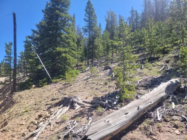 Mine, Idaho Springs, CO 80444
