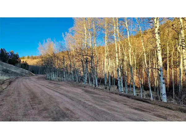 524 Buckhorn, Cripple Creek, CO 80813